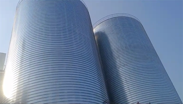 天津2座混凝土高架卷板仓